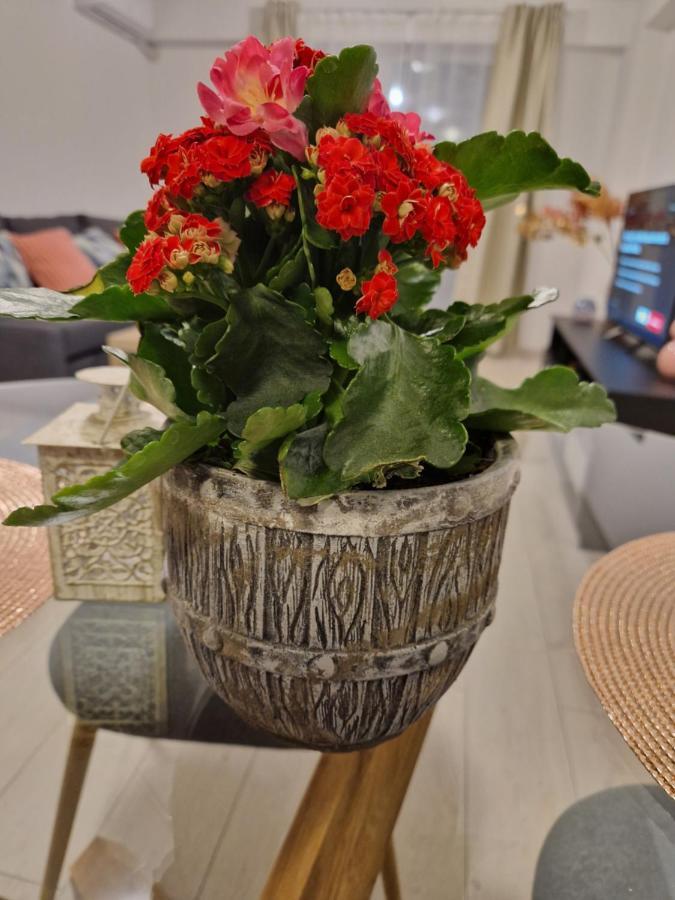 Star Airport Residence Otopeni Ngoại thất bức ảnh